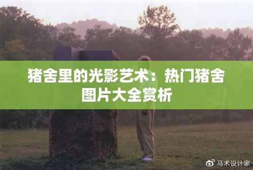 猪舍里的光影艺术:热门猪舍图片大全赏析