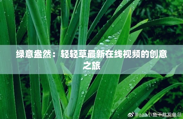 绿意盎然：轻轻草最新在线视频的创意之旅