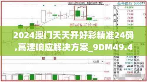 2024澳门天天开好彩精准24码,高速响应解决方案_9DM49.428