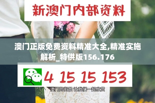 澳门正版免费资料精准大全,精准实施解析_特供版156.176