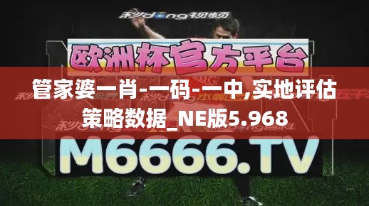 管家婆一肖-一码-一中,实地评估策略数据_NE版5.968