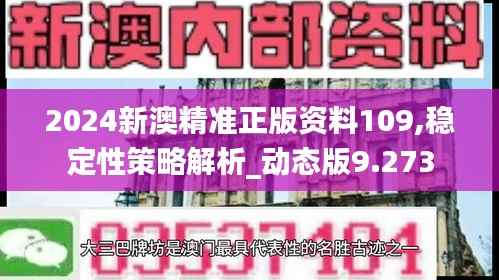 2024新澳精准正版资料109,稳定性策略解析_动态版9.273