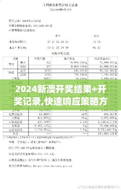 2024新澳开奖结果+开奖记录,快速响应策略方案_界面版9.202