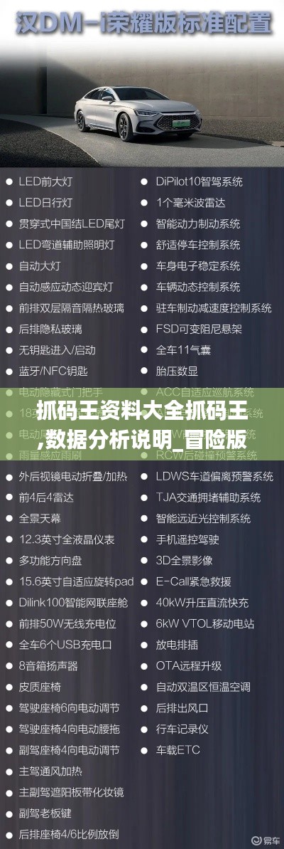 抓码王资料大全抓码王,数据分析说明_冒险版2.387