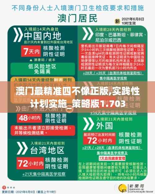澳门最精准四不像正版,实践性计划实施_策略版1.703