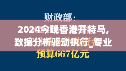 2024今晚香港开特马,数据分析驱动执行_专业版5.667
