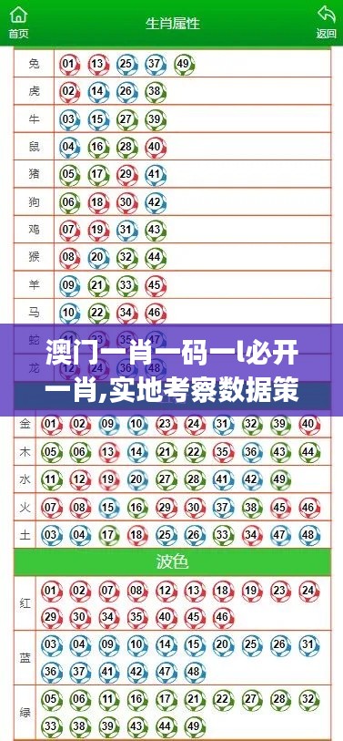 澳门一肖一码一l必开一肖,实地考察数据策略_运动版3.303