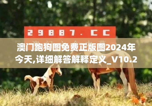 澳门跑狗图免费正版图2024年今天,详细解答解释定义_V10.240