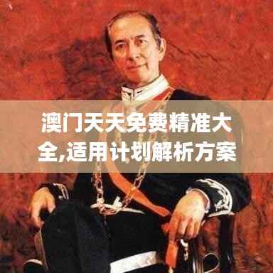 澳门天天免费精准大全,适用计划解析方案_MR4.101