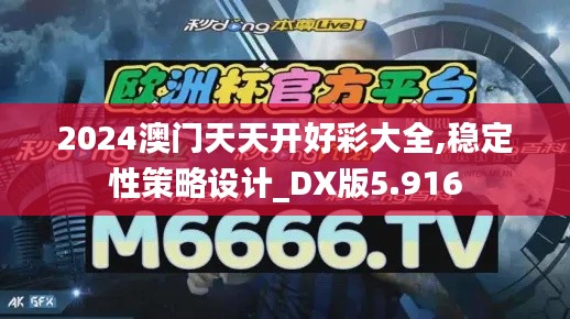 2024澳门天天开好彩大全,稳定性策略设计_DX版5.916
