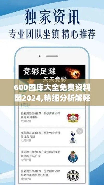 600图库大全免费资料图2024,精细分析解释定义_挑战款9.499