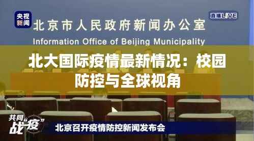 撼天动地 第4页