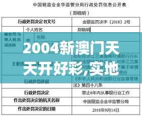 2004新澳门天天开好彩,实地分析解释定义_FT9.495
