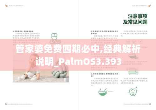 管家婆免费四期必中,经典解析说明_PalmOS3.393