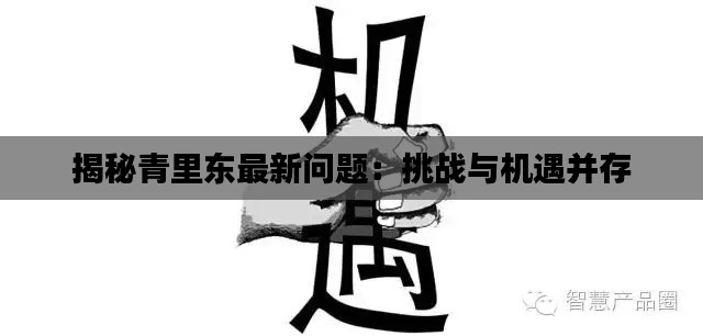 揭秘青里东最新问题:挑战与机遇并存