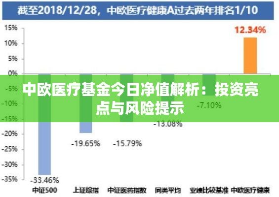 中欧医疗基金今日净值解析:投资亮点与风险提示