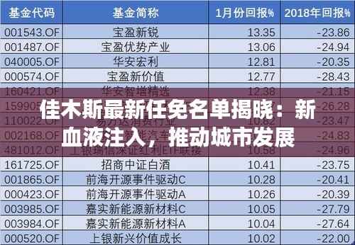 佳木斯最新任免名单揭晓:新血液注入,推动城市发展