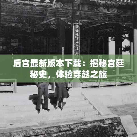 后宫最新版本下载：揭秘宫廷秘史，体验穿越之旅