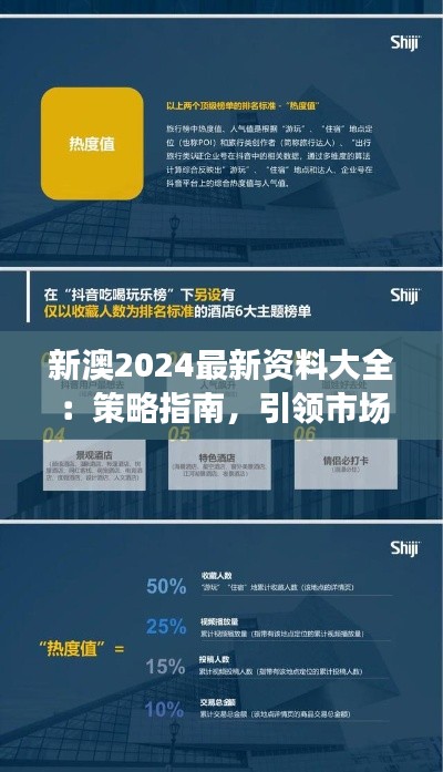 新澳2024最新资料大全：策略指南，引领市场前瞻