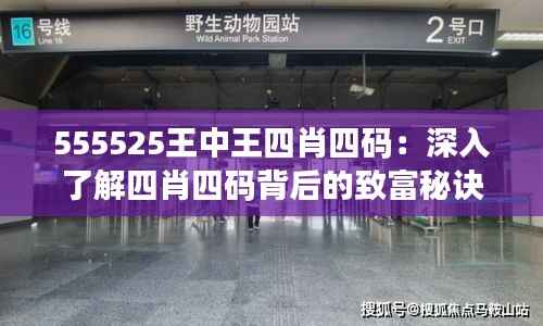 555525王中王四肖四码:深入了解四肖四码背后的致富秘诀