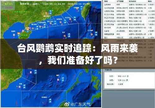 台风鹦鹉实时追踪:风雨来袭,我们准备好了吗?