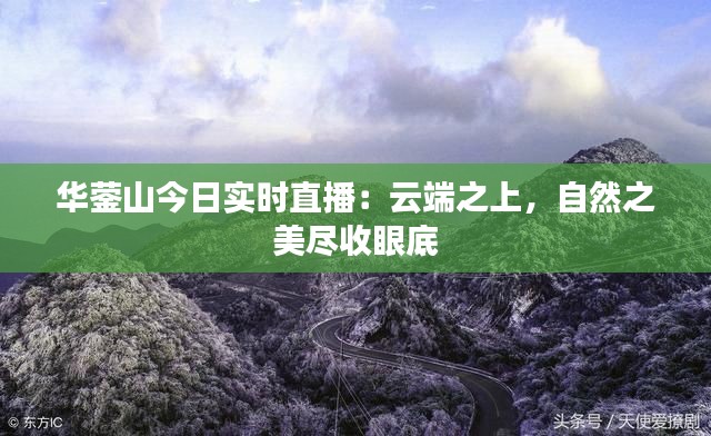 逆风飞扬 第3页