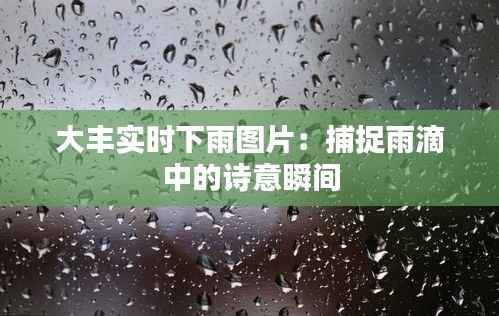 大丰实时下雨图片:捕捉雨滴中的诗意瞬间