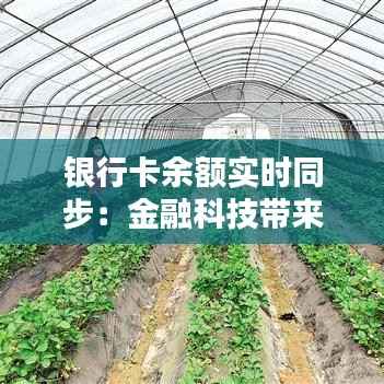 银行卡余额实时同步:金融科技带来的便捷生活新体验