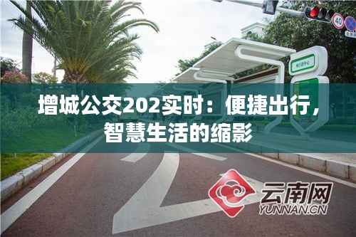 增城公交202实时：便捷出行，智慧生活的缩影