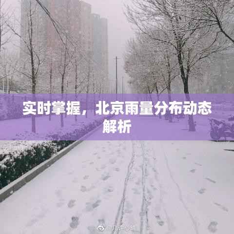 实时掌握,北京雨量分布动态解析
