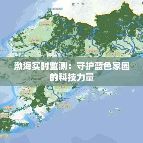 渤海实时监测:守护蓝色家园的科技力量
