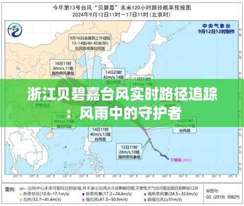 浙江贝碧嘉台风实时路径追踪：风雨中的守护者