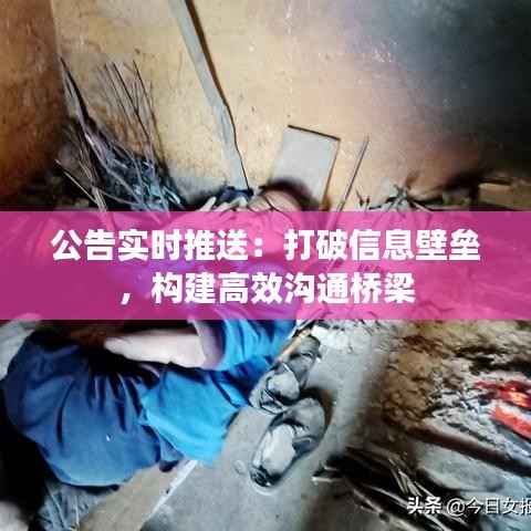 公告实时推送：打破信息壁垒，构建高效沟通桥梁