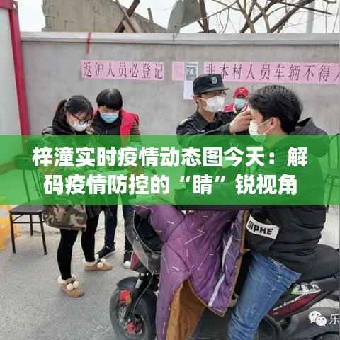 梓潼实时疫情动态图今天:解码疫情防控的“睛”锐视角