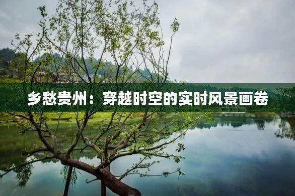 乡愁贵州:穿越时空的实时风景画卷