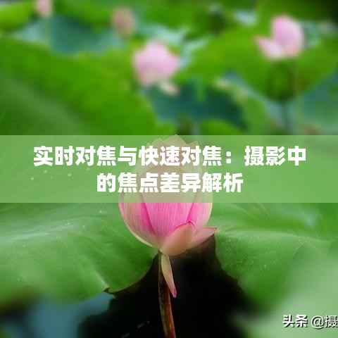 实时对焦与快速对焦:摄影中的焦点差异解析