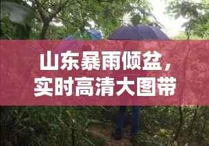 山东暴雨倾盆,实时高清大图带你感受雨中风情