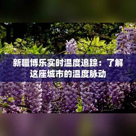 新疆博乐实时温度追踪：了解这座城市的温度脉动