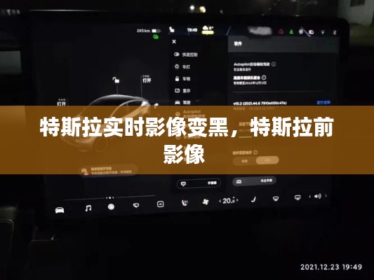 特斯拉实时影像变黑，特斯拉前影像 