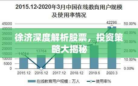 徐济深度解析股票,投资策略大揭秘