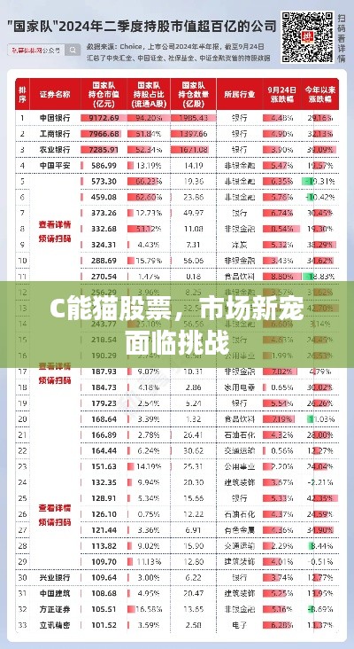 C能猫股票,市场新宠面临挑战