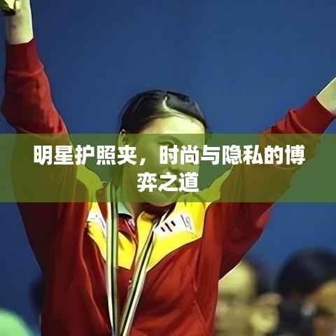 明星护照夹,时尚与隐私的博弈之道