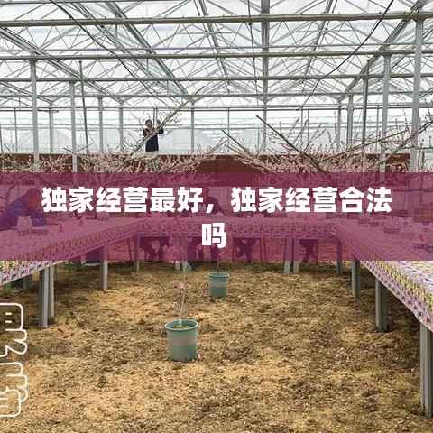 独家经营最好，独家经营合法吗 