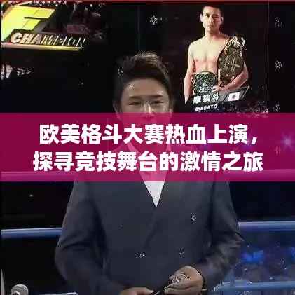 欧美格斗大赛热血上演，探寻竞技舞台的激情之旅