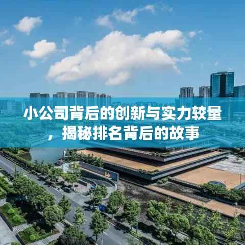 小公司背后的创新与实力较量,揭秘排名背后的故事