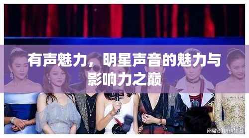 有声魅力,明星声音的魅力与影响力之巅