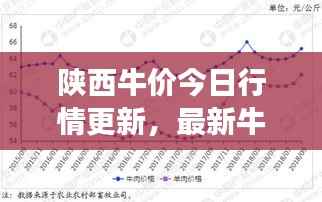 陕西牛价今日行情更新,最新牛市场走势分析