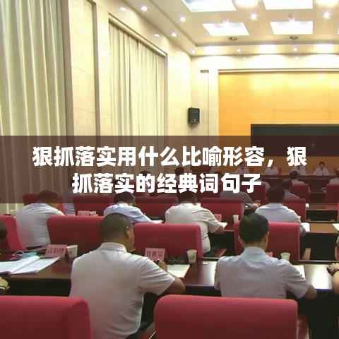 狠抓落实用什么比喻形容,狠抓落实的经典词句子