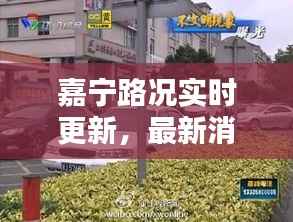嘉宁路况实时更新,最新消息一览