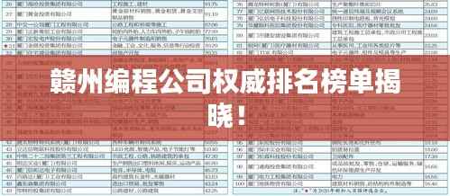 赣州编程公司权威排名榜单揭晓!